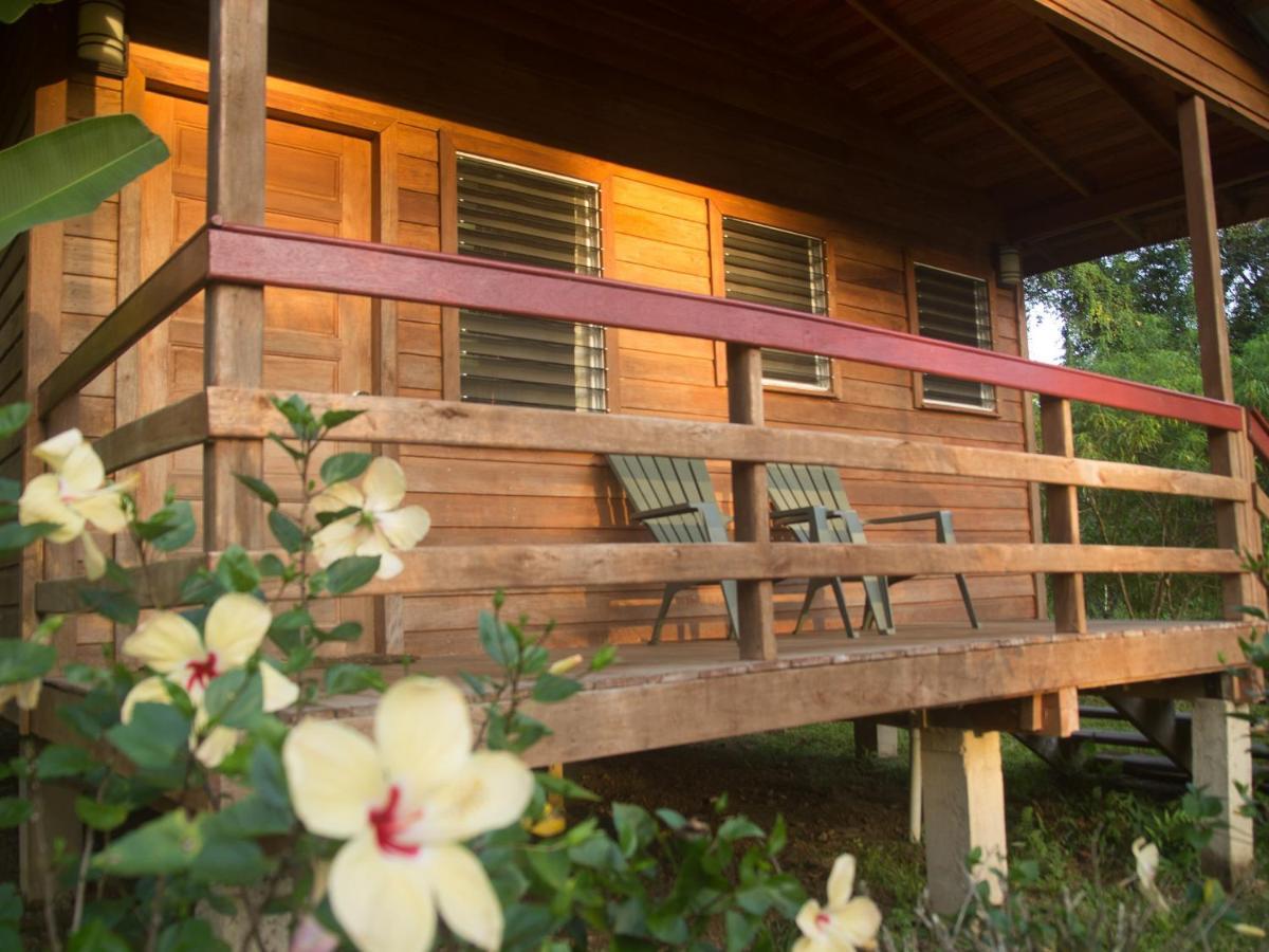 Tanager Rainforest Lodge Big Falls Exterior foto