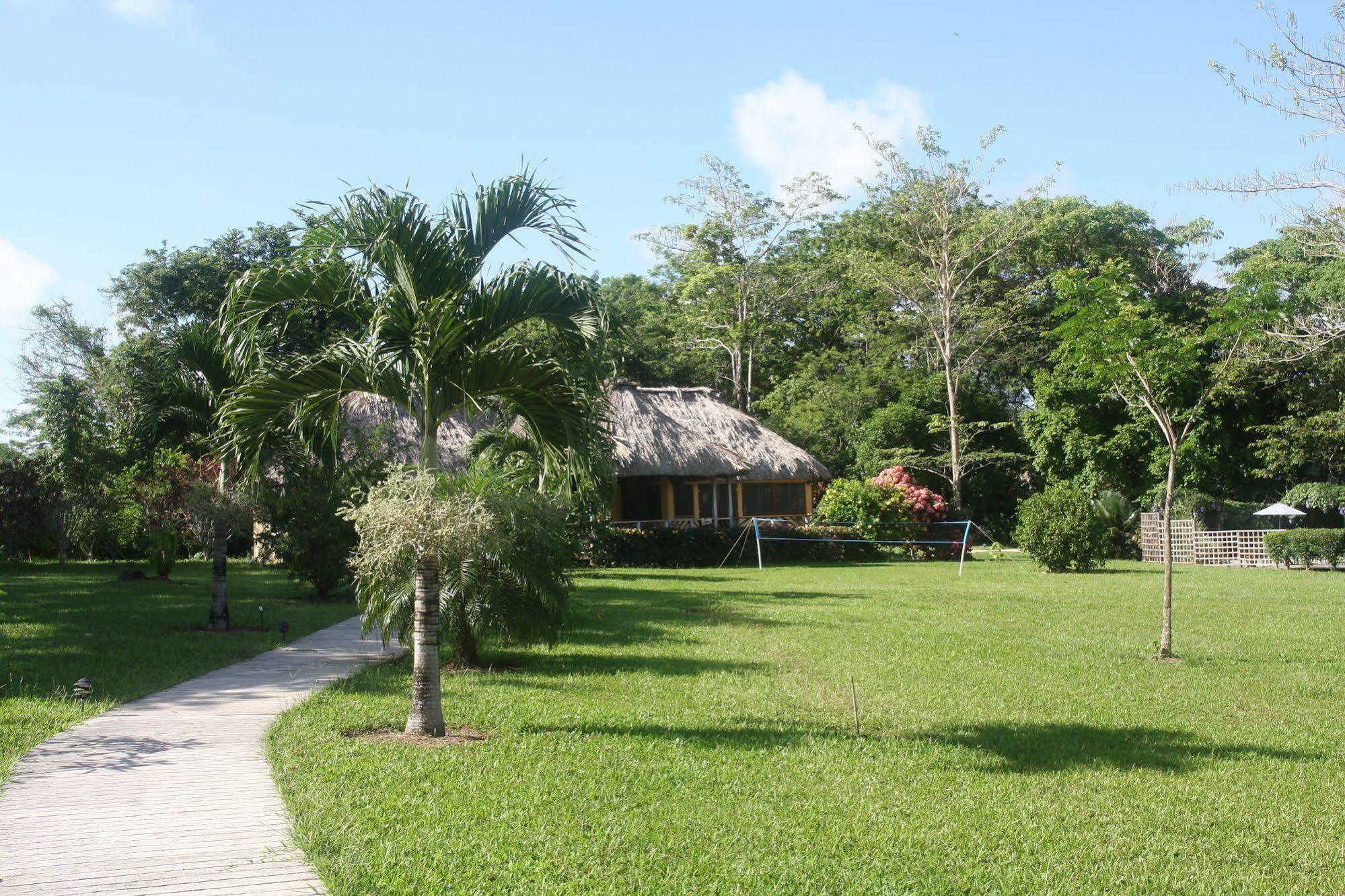 Tanager Rainforest Lodge Big Falls Exterior foto