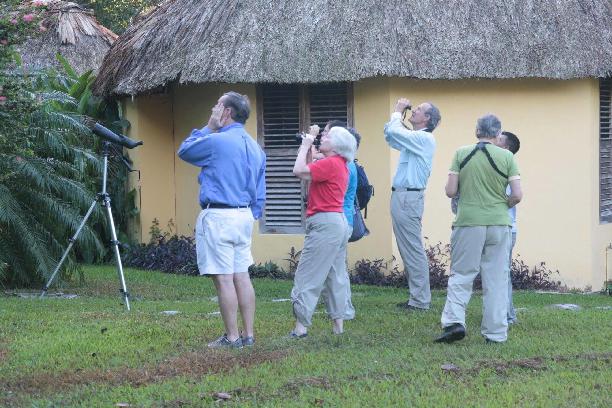 Tanager Rainforest Lodge Big Falls Exterior foto