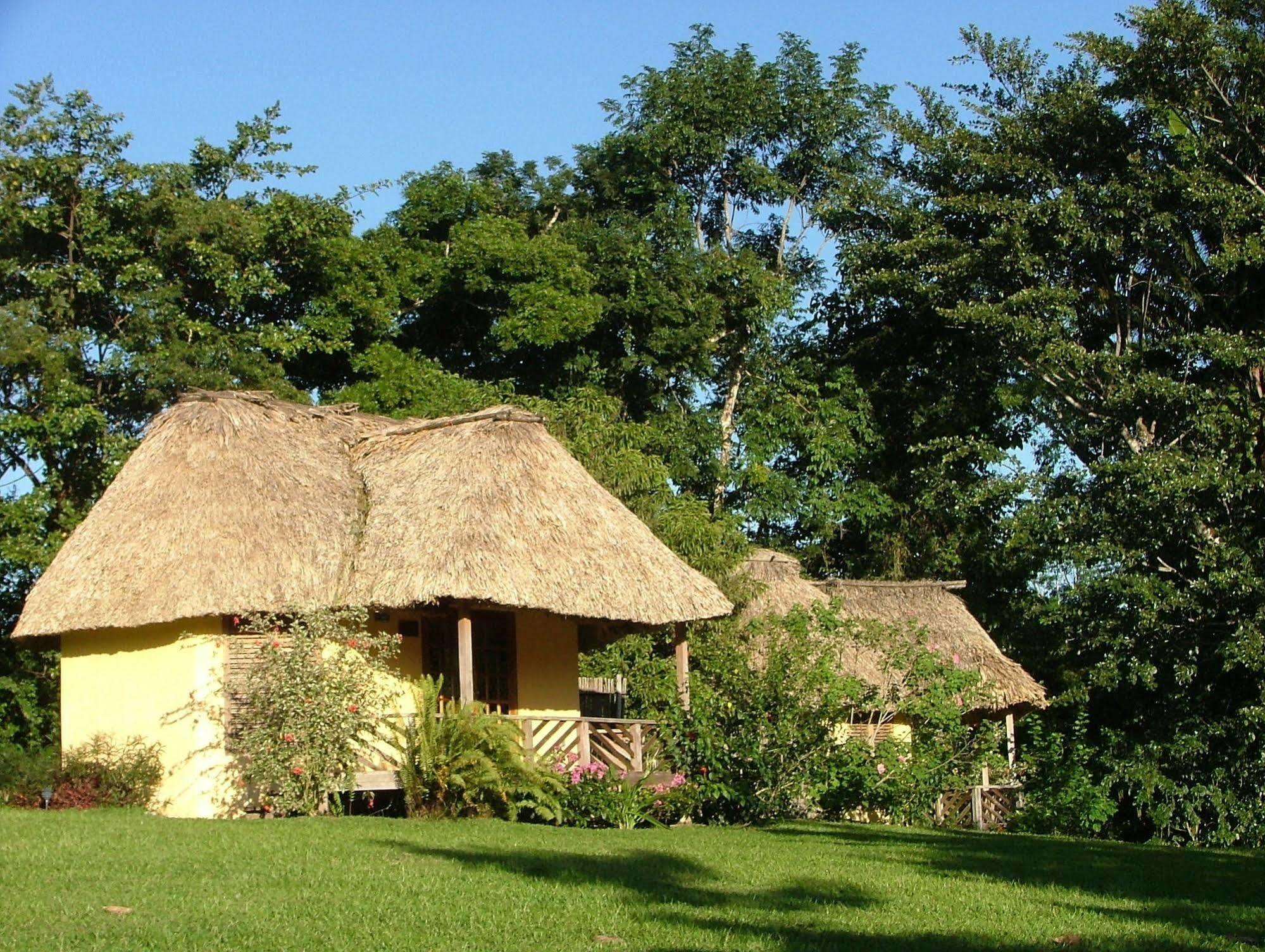 Tanager Rainforest Lodge Big Falls Exterior foto